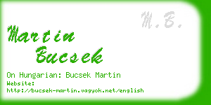 martin bucsek business card